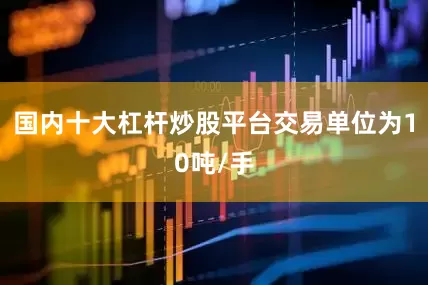 国内十大杠杆炒股平台交易单位为10吨/手