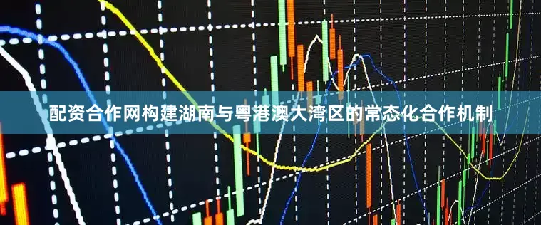 配资合作网构建湖南与粤港澳大湾区的常态化合作机制