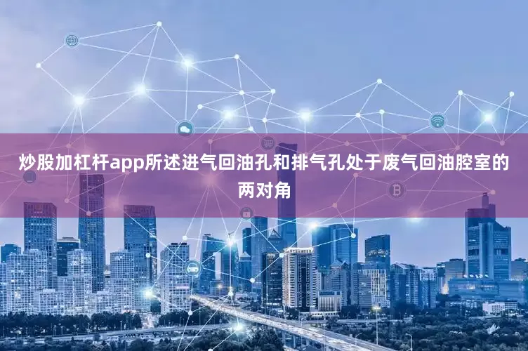 炒股加杠杆app所述进气回油孔和排气孔处于废气回油腔室的两对角