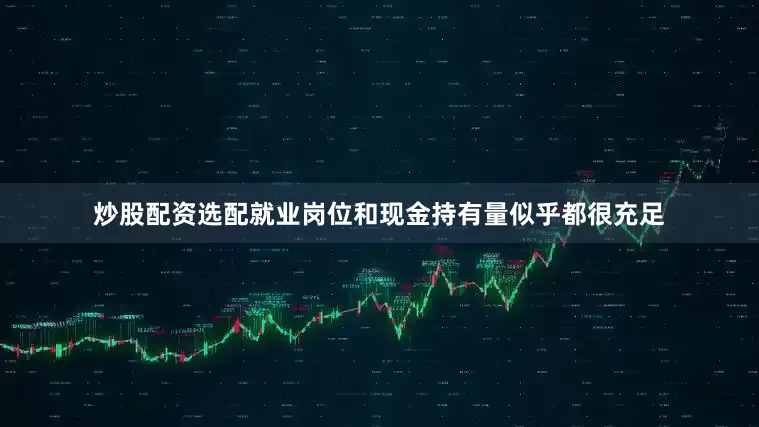 炒股配资选配就业岗位和现金持有量似乎都很充足